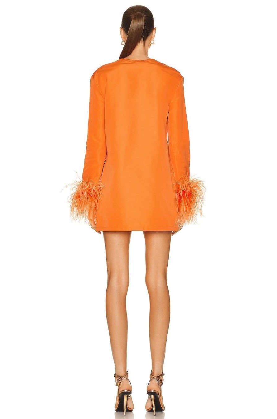 New * Valentino Long Sleeve Dress With Feathers