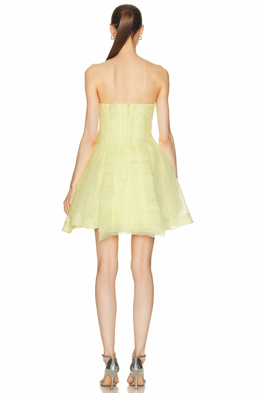 Clearance * Aje Astrid Pleat Panel Mini Dress